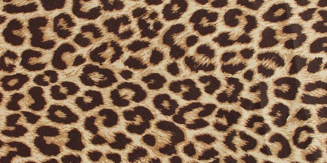 sawah20's profile banner image