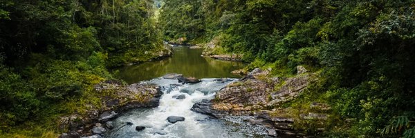 feehannelson Profile Banner