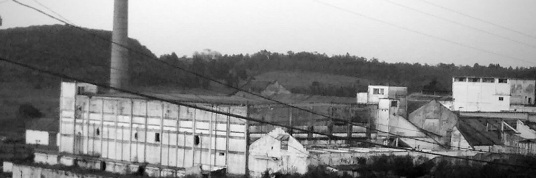 sample do ableton da ninajirachi banner