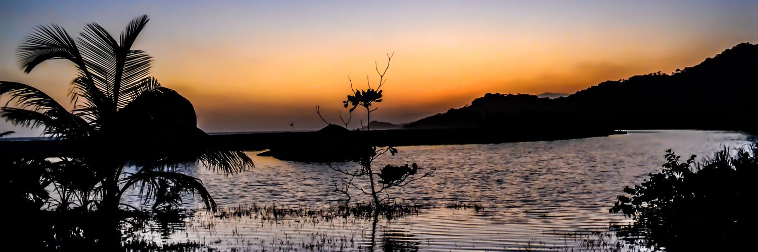 NaNi_Cardona's profile banner image