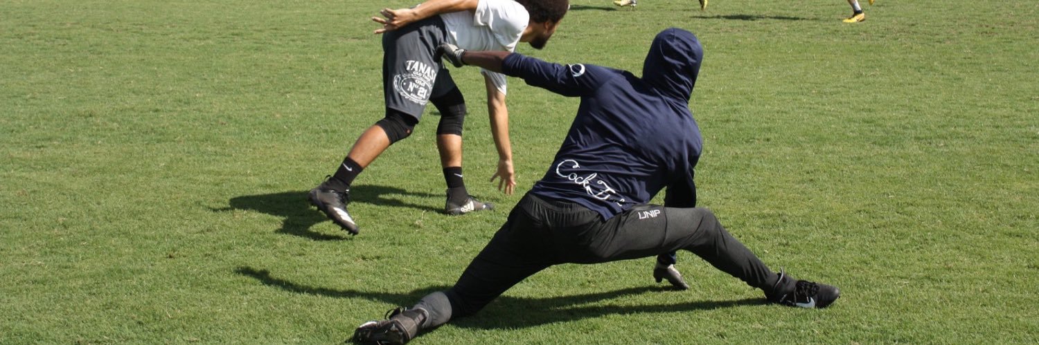 XLIX banner