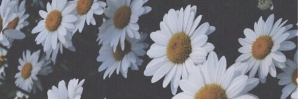 perchui_k Profile Banner