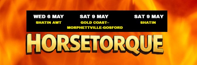 Gavin Horsetorque Haynes banner