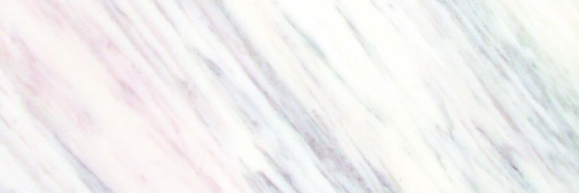 Rany Design banner