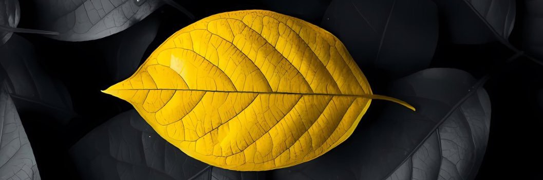 yoy1111's profile banner image