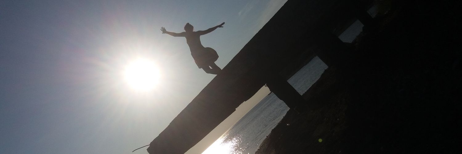 EnkelejdaH's profile banner image