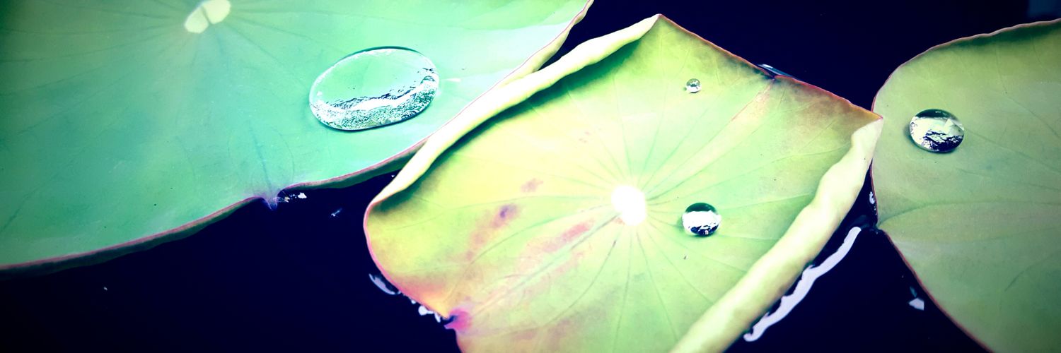 jpshunkay's profile banner image
