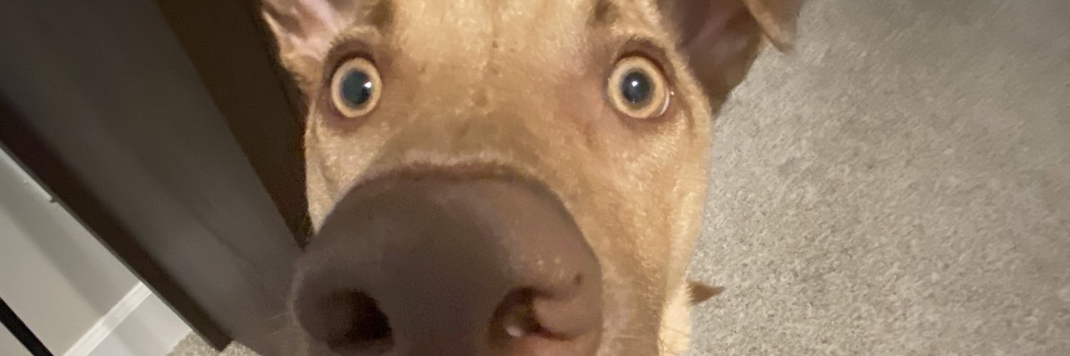 kelbe_dawson's profile banner image