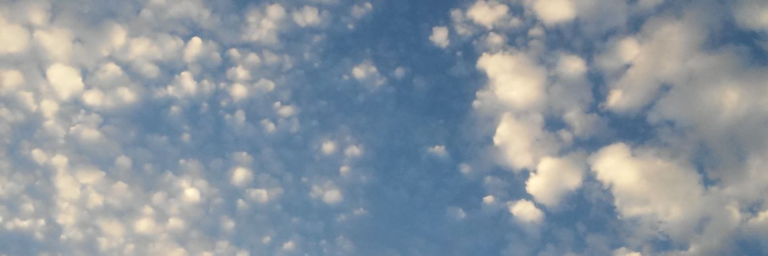 antiqueitem22's profile banner image