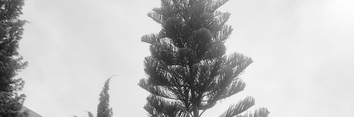 ・ᴥ・กระซิบ banner