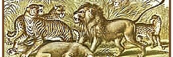 CG Bellamy banner