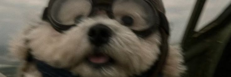 kairiloverx's profile banner image