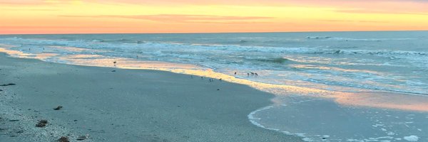 VickieMacFadden Profile Banner