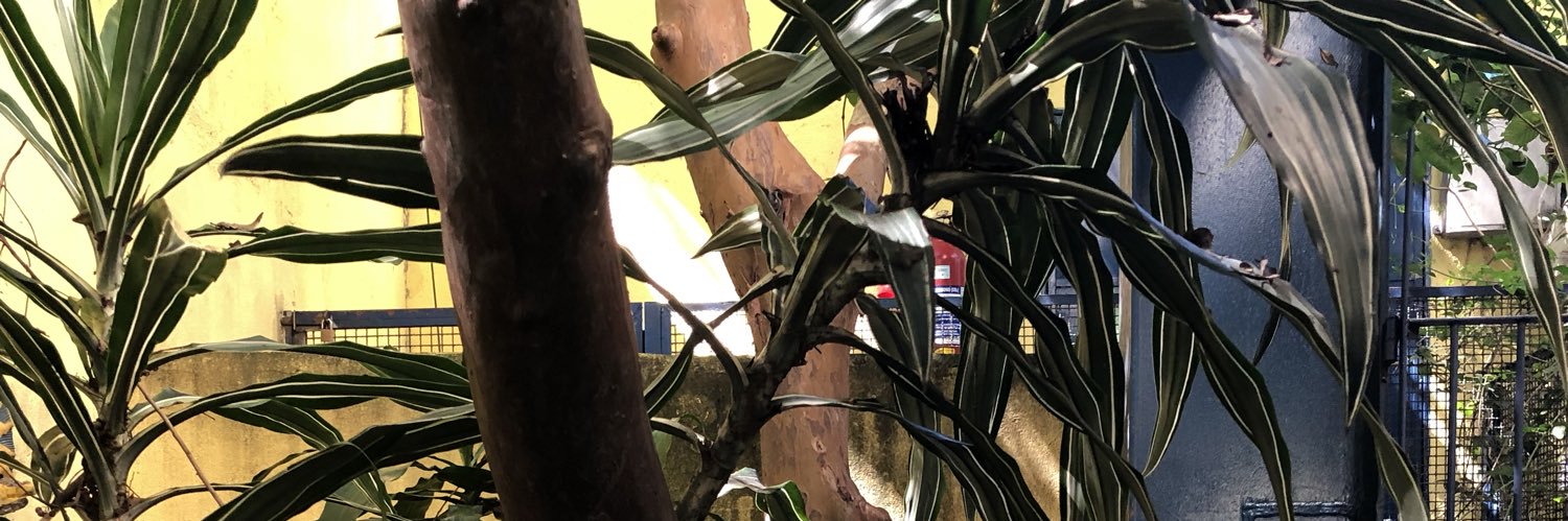 sebmo93's profile banner image