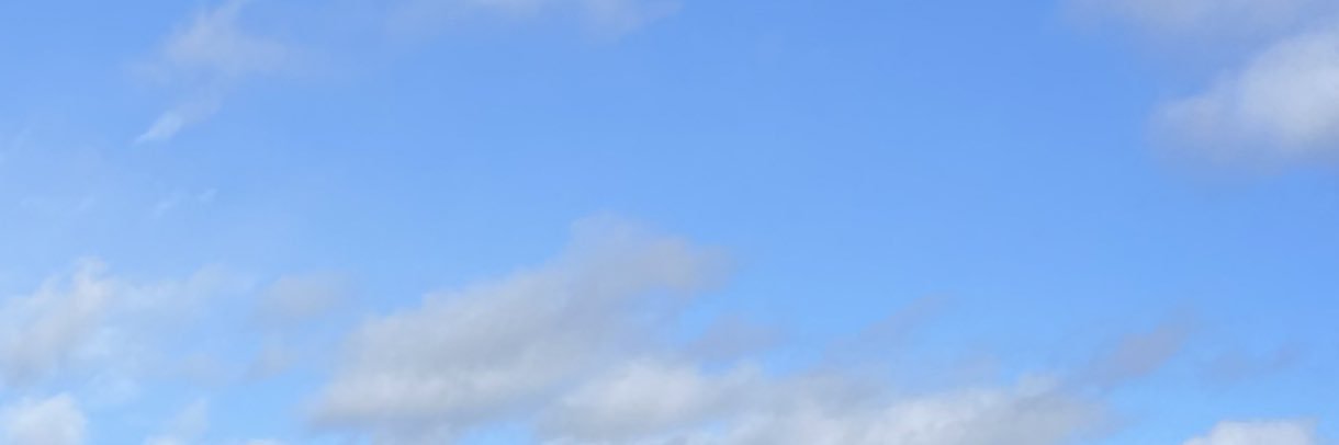 ___koyun__'s profile banner image