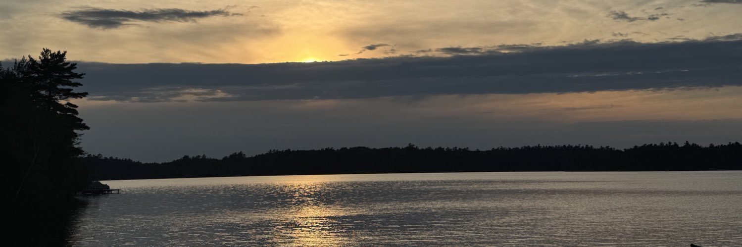 Michael Fried banner