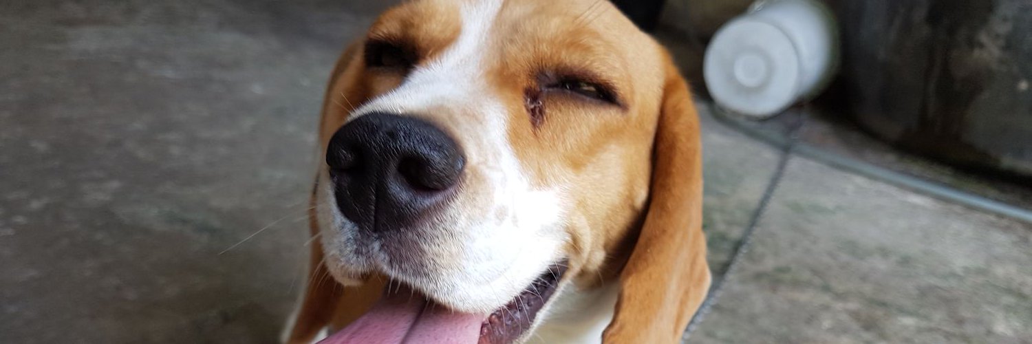 Heng_doc's profile banner image