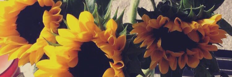 lorainsarge's profile banner image