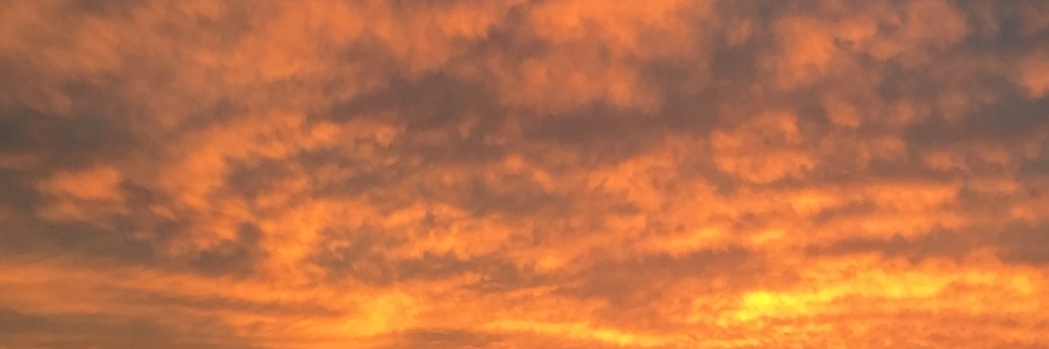 Renz_T21's profile banner image