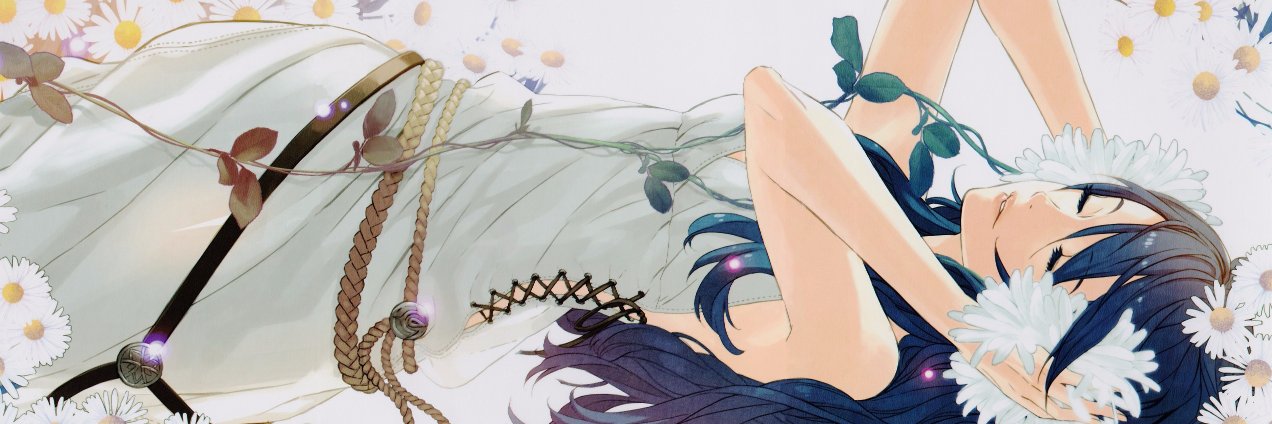 Ludecillion's profile banner image