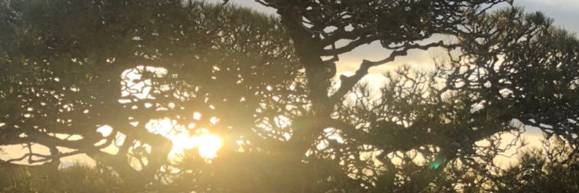 mau10a's profile banner image