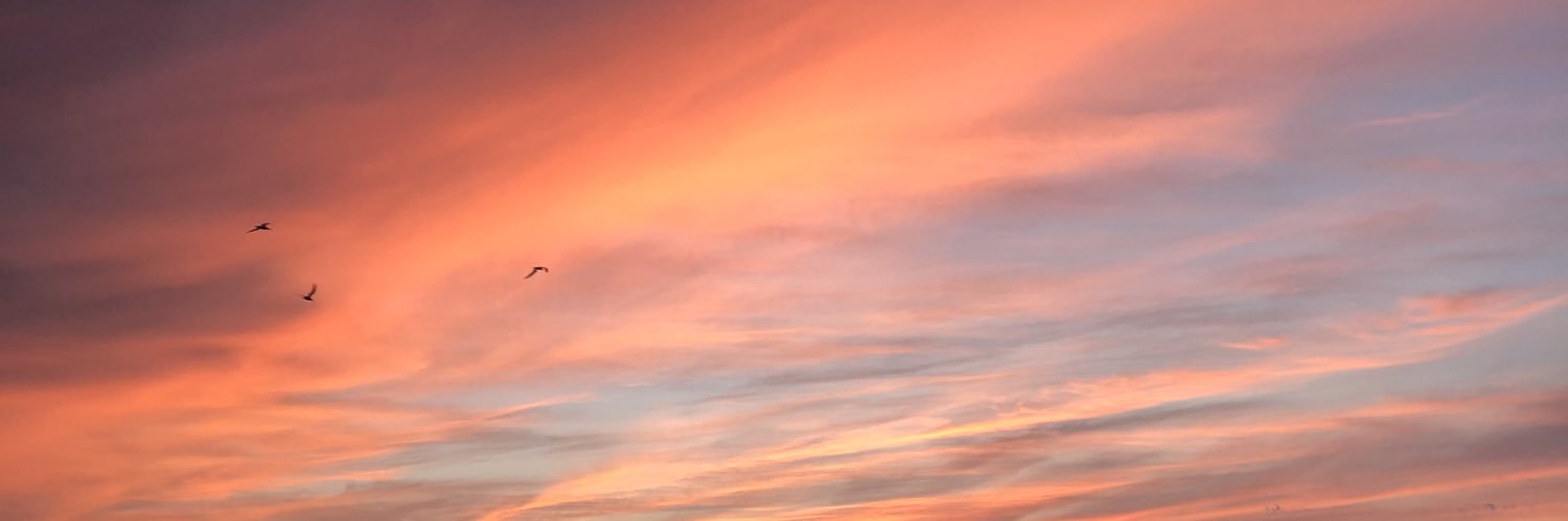 تركي banner