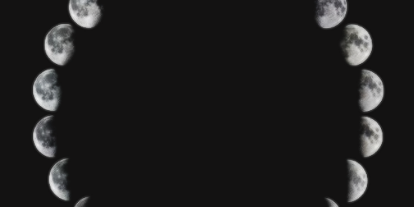 litapota's profile banner image