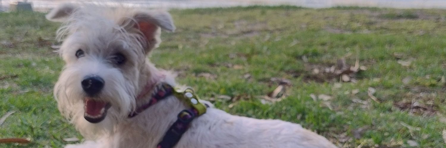 CameVega's profile banner image