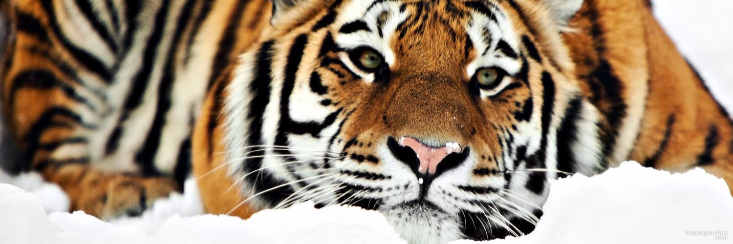 David E. Christopher, Ed.D. banner