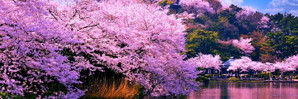 🍉Melanie🍉 banner