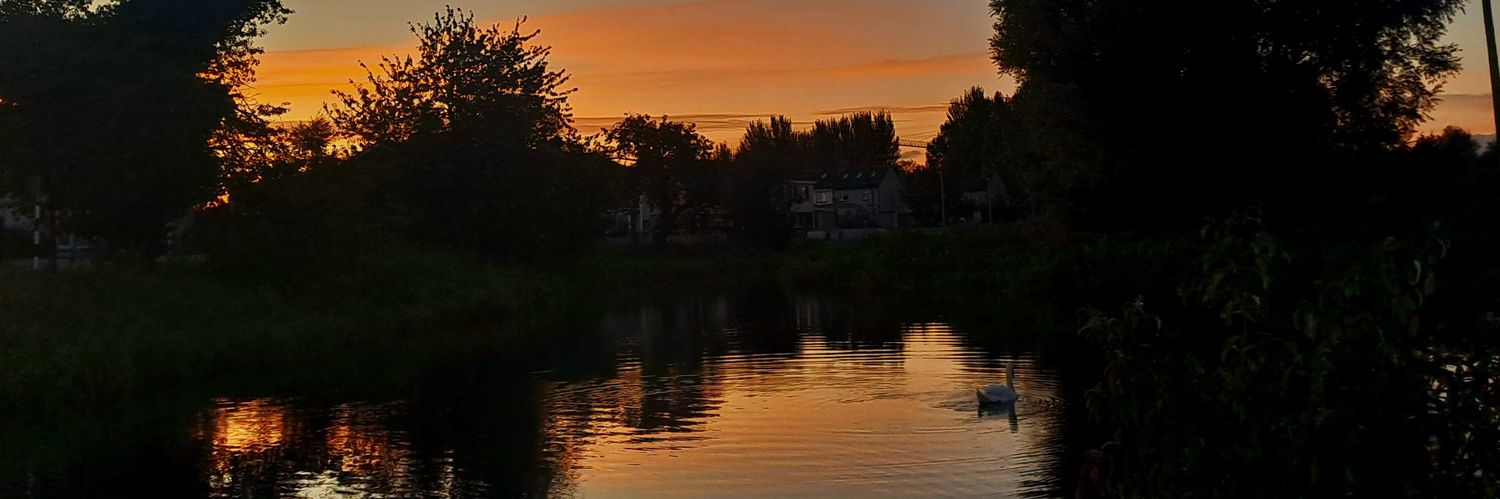 miriamcorrigan's profile banner image