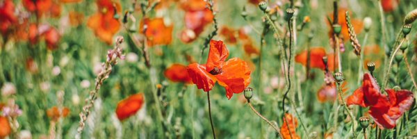 InstaBritain Profile Banner