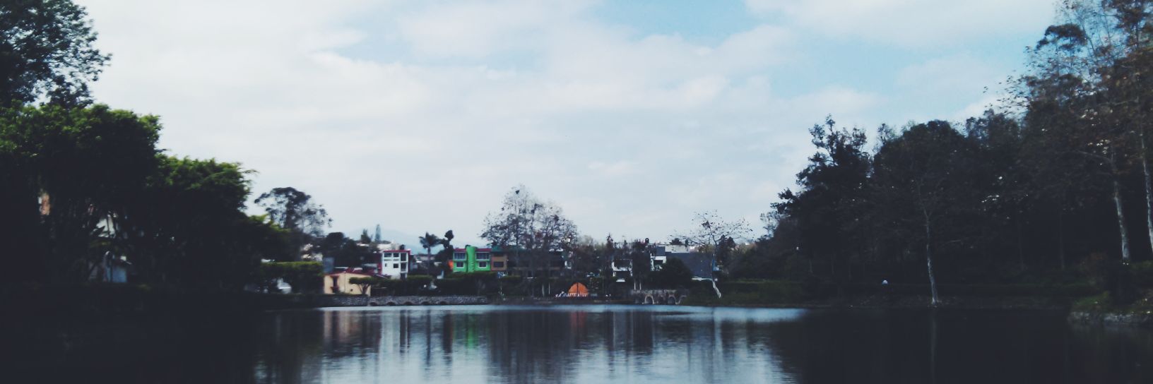 ixellunap's profile banner image