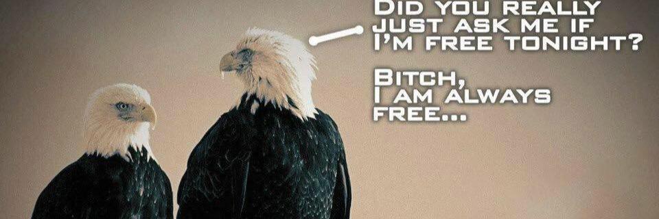 jaredfleming94's profile banner image