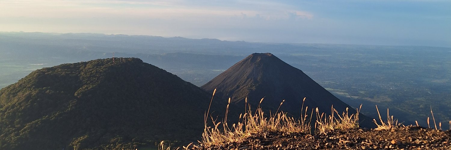 soynessi's profile banner image