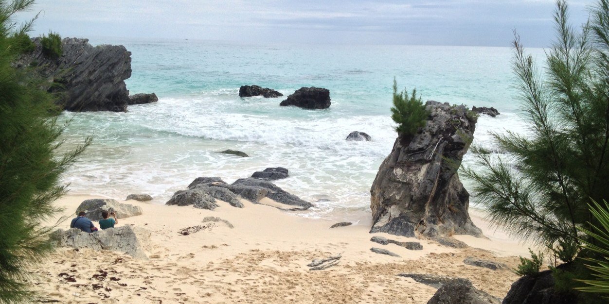 Dan Ringuette banner