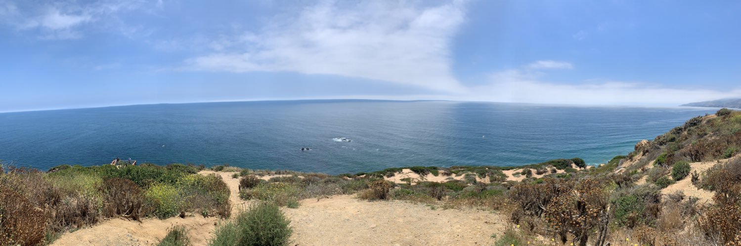 kiara isabel polanco banner