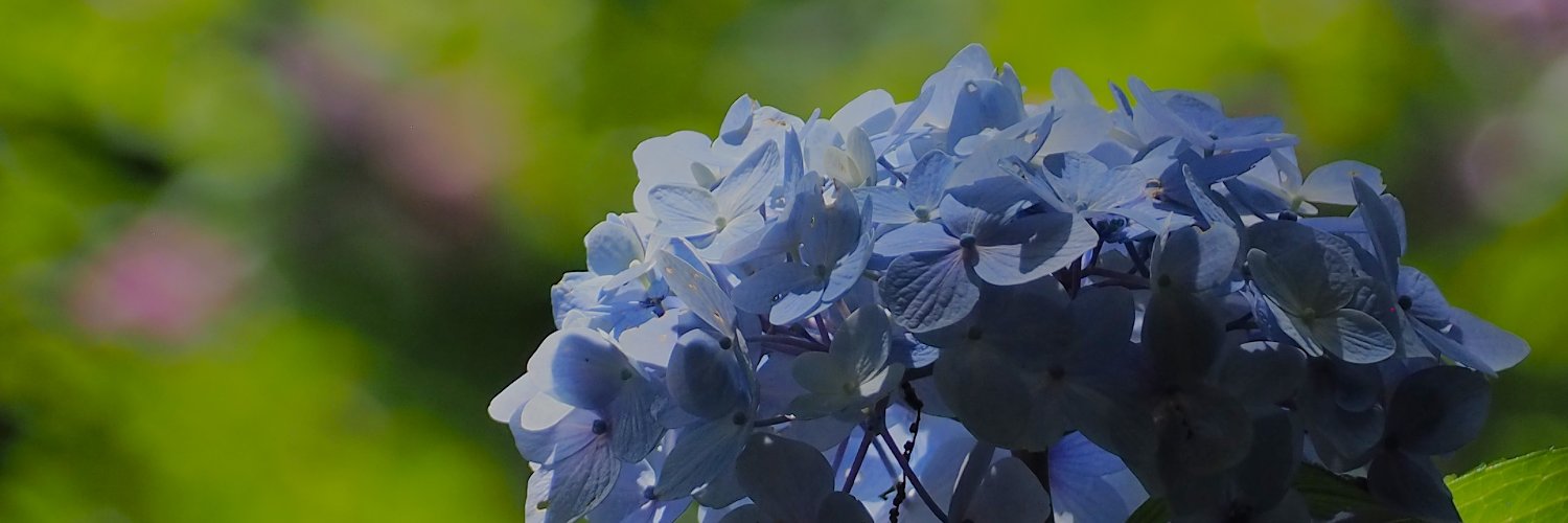 とろぺん banner
