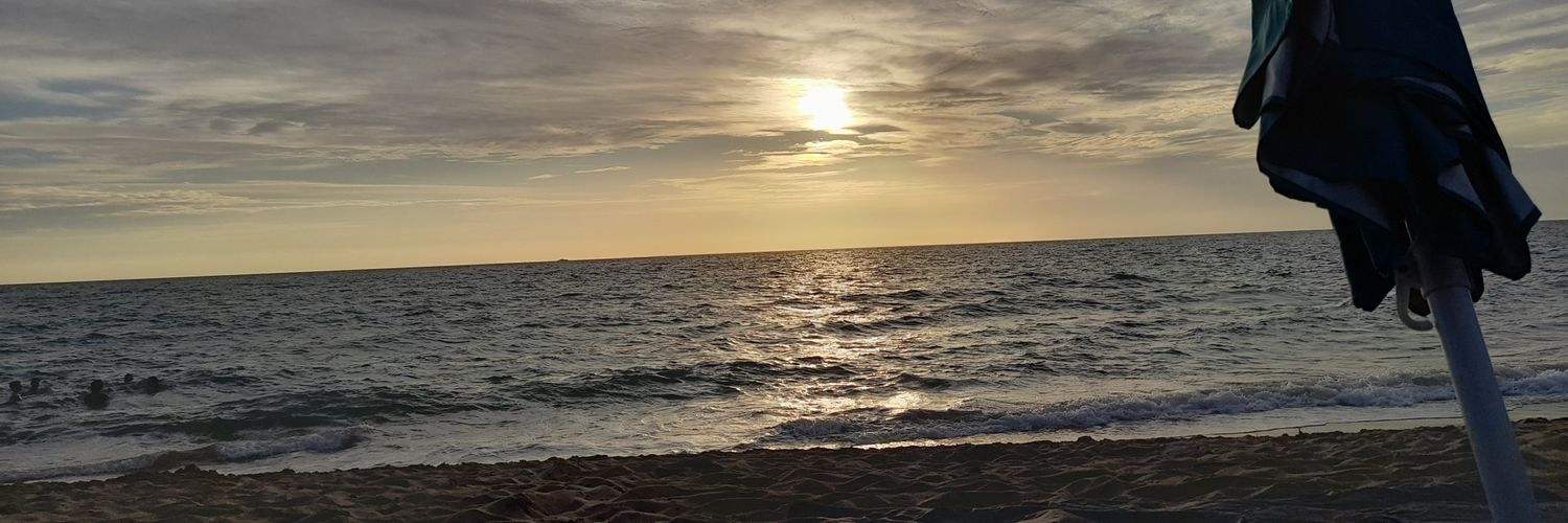 FullShockZombie's profile banner image