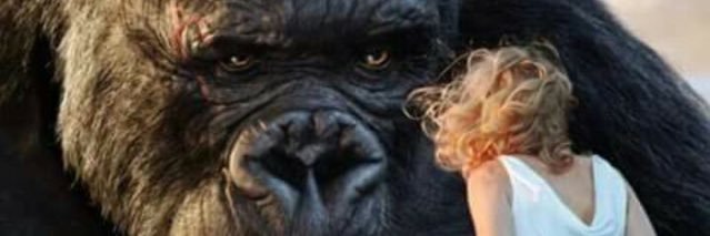 MernaRomel's profile banner image