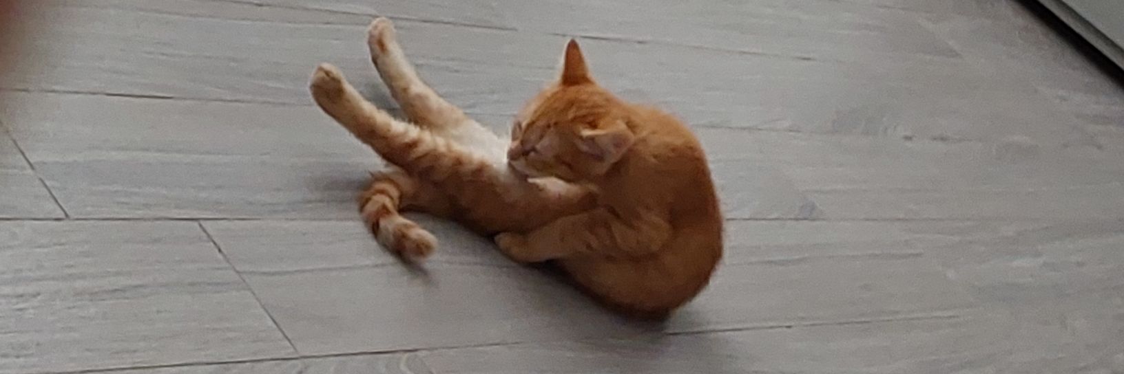 Amine / 3.28 LIVE banner