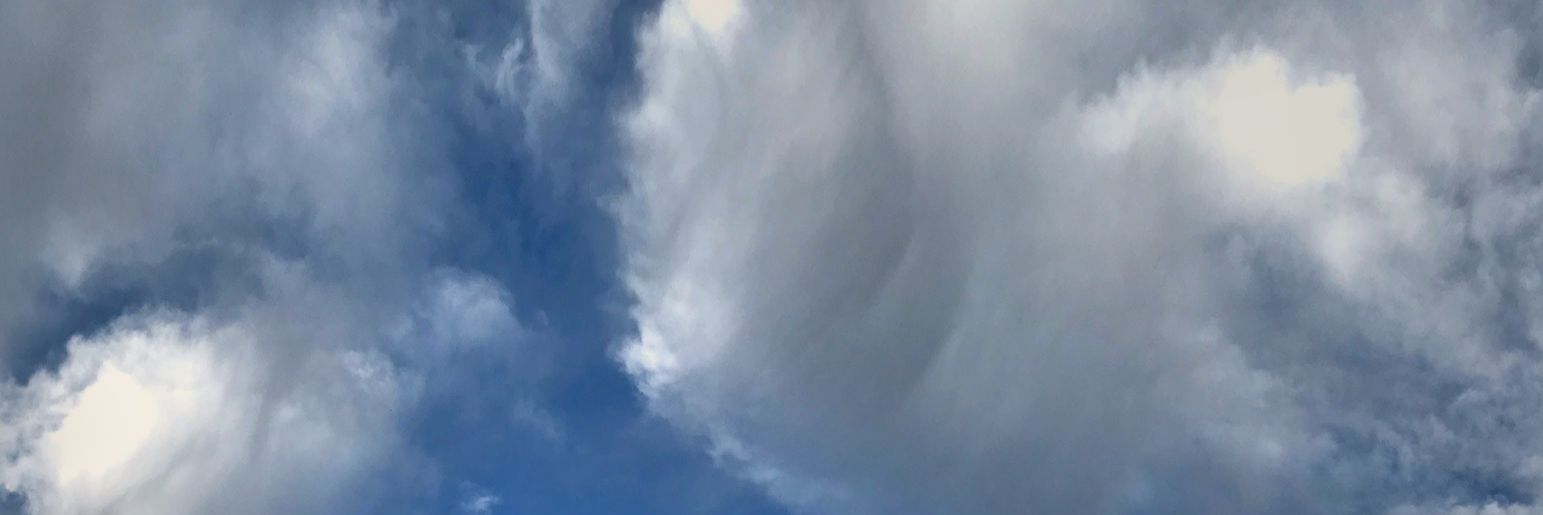 Cory Lee banner