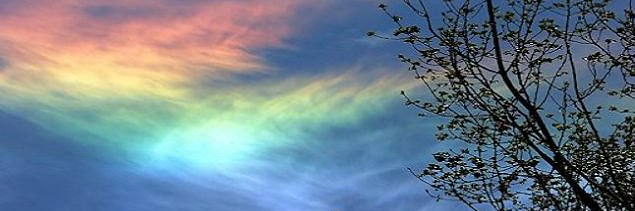 є(´꒳​`*)э banner