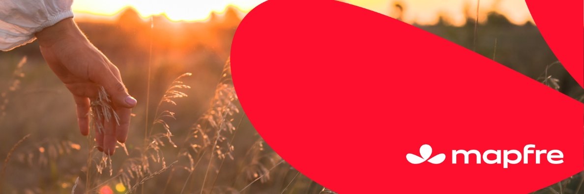 MAPFRE VENEZUELA banner