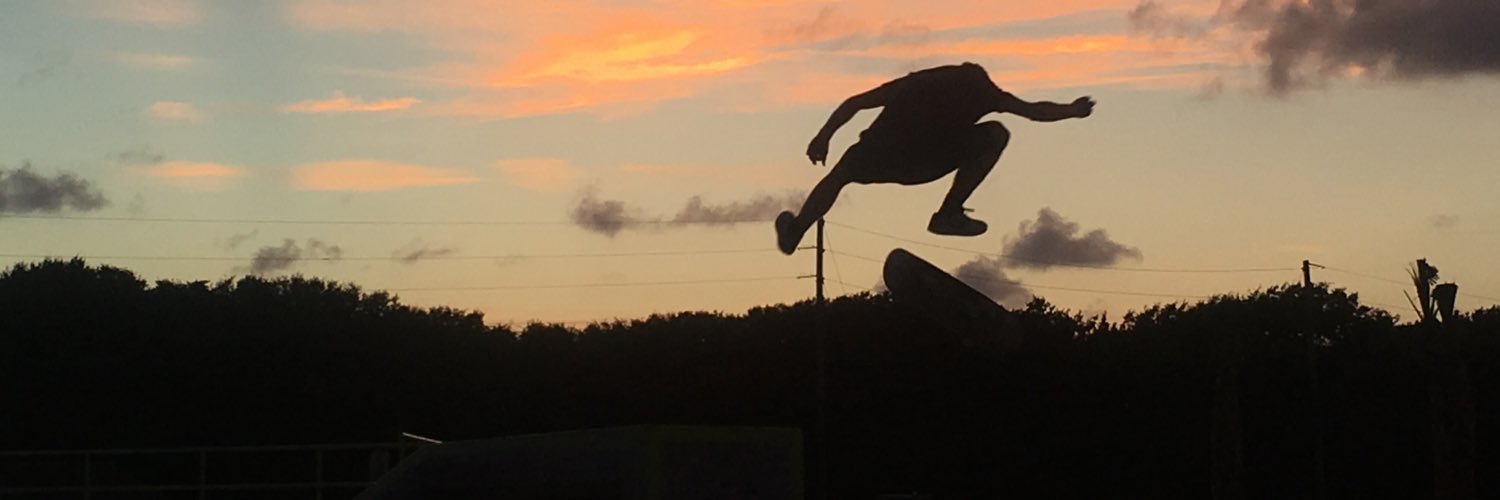 Basicskateboards banner
