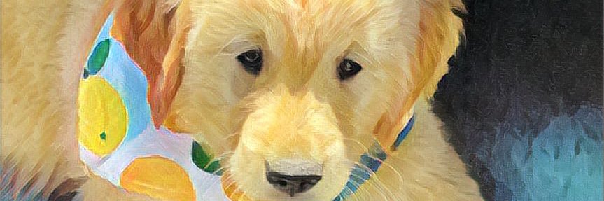 libbyearnshaw's profile banner image