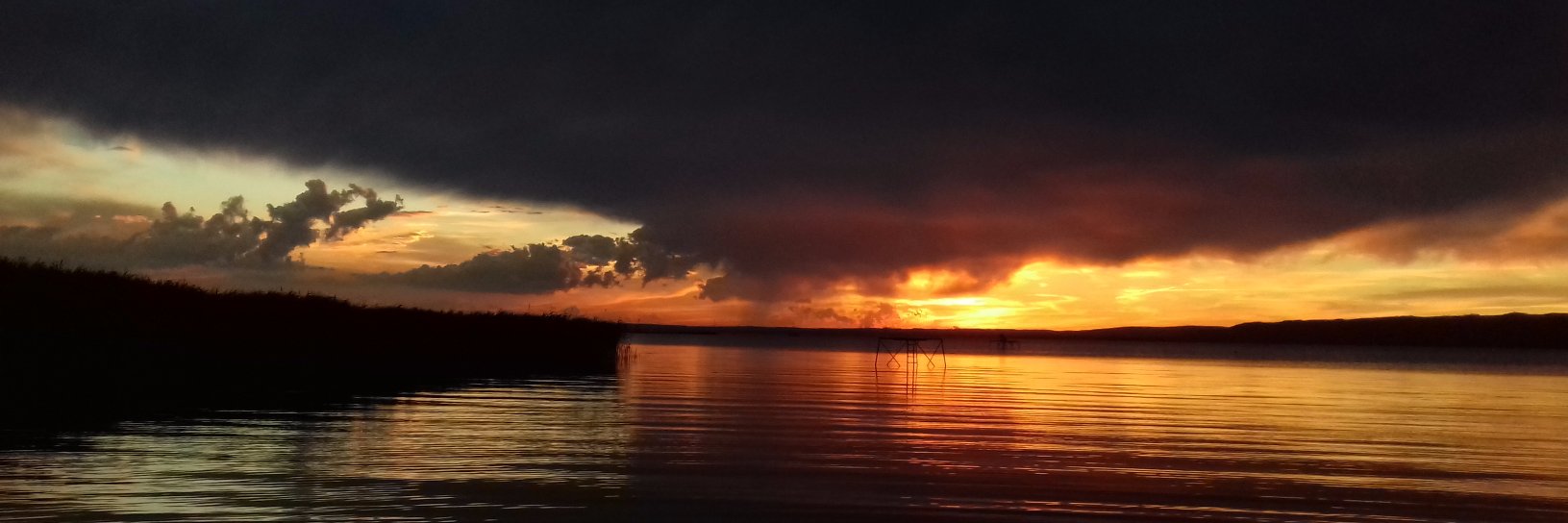 Gazdag Tamás banner