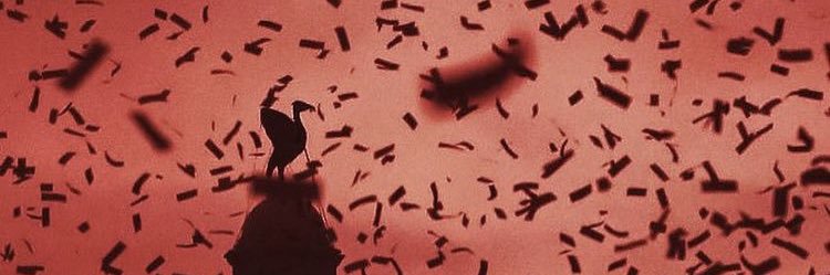 Sophie Elizabeth banner