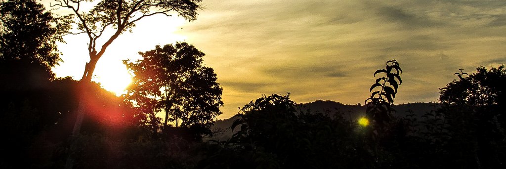 FedeLugo1's profile banner image