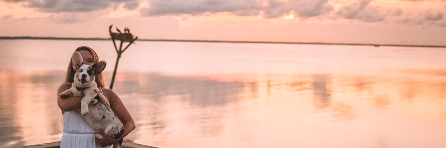_meganheitz's profile banner image